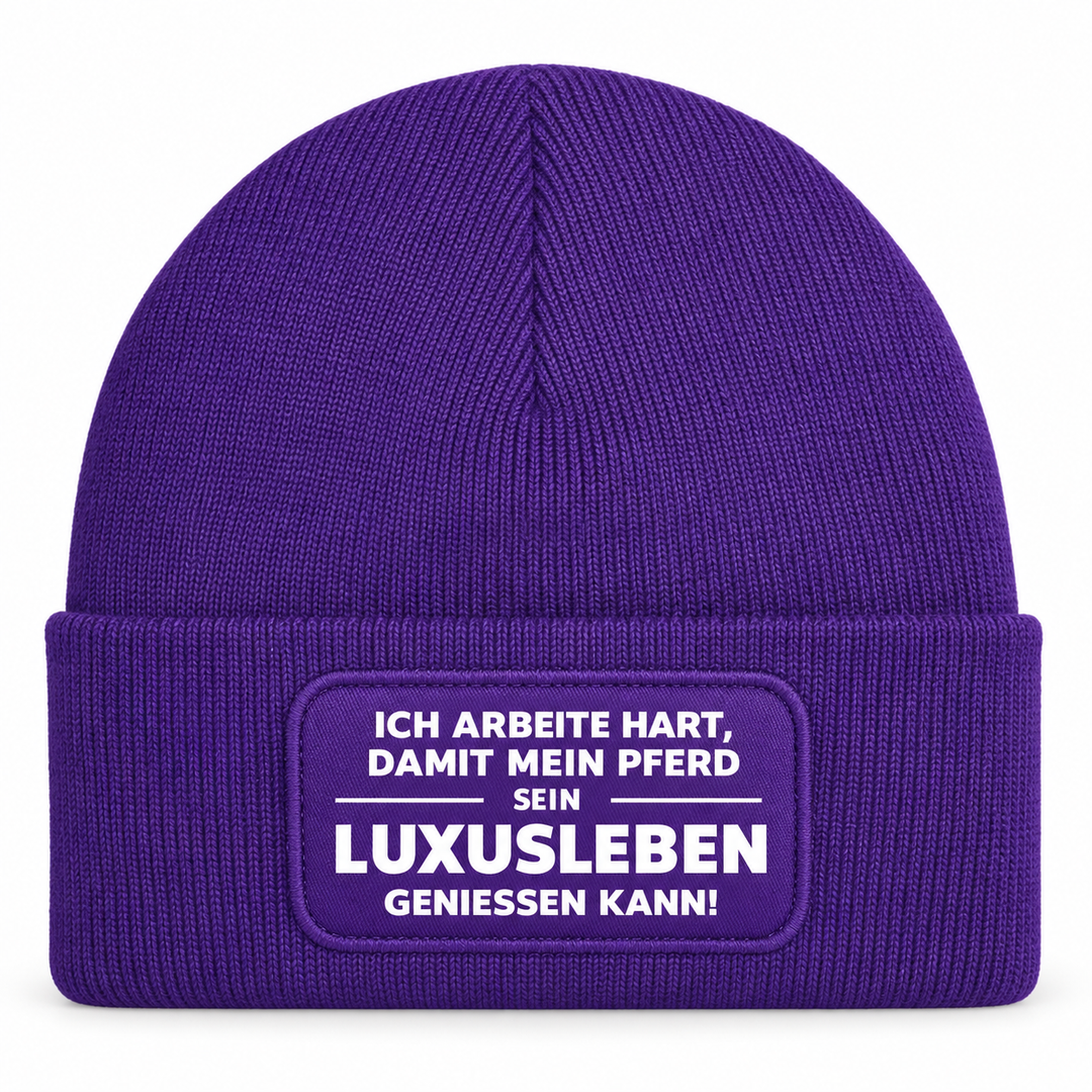 Mütze mit Pferde-Spruch „Ich arbeite hart“ – Lila