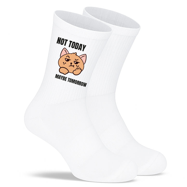 Socken „Not today, maybe tomorrow“ – Lustige Spruchsocken | Lazy & Chill Socks aus Bio-Baumwolle | Geschenkidee für Morgenmuffel